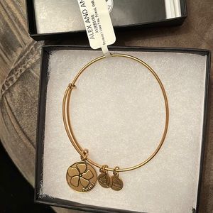 Alex and Ani Because I Love You Friend Charm Bracelet